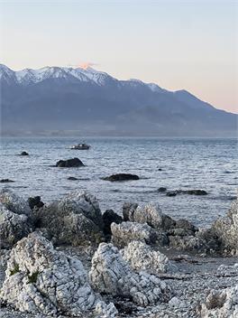 The Beachfront Escape - Kaikoura