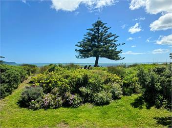 Beachfront Getaway (Bachcare) - Waikanae Beach