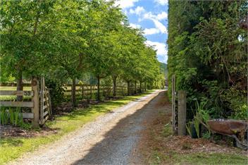 The Grass is Greener Getaway - Private Hot Tub - Whangamata