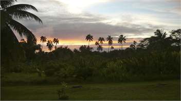 Papa Mauri's Place - Vaimaanga