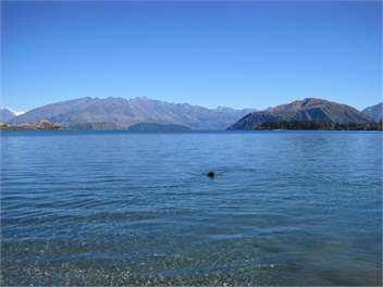 Cardrona Townhouse - Cardrona