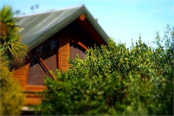 The Log Cabin - Waihi