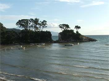 Nikau Heights -Kereru Cottage - Great Barrier Island