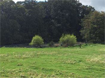 VENTURELODGE  SLEEPS UP TO 50 - Ohakune