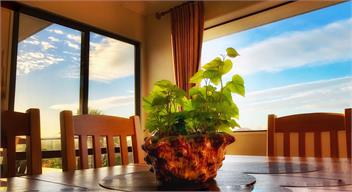 wonderful views holiday house - Auckland