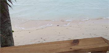Tarani Beach Studio : air conditioned. With FREE Wifi - Rarotonga. Cook Islands