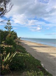 Summer in the Sun - Golden Bay
