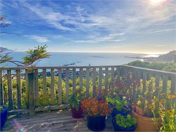 Room with a View - The Cottage - Kaikoura