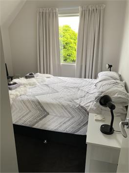 A Home Away from Home by Hagley Park - Christchurch