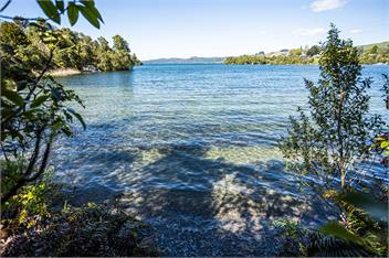 Lakeview Cottage - Rotorua