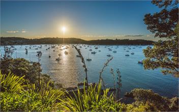 Relax on Newton - Waiheke Island 1081