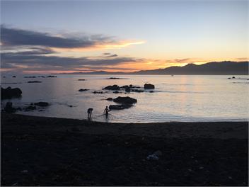 Barlow's Bach - Kaikoura