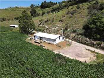 The Old Woolshed Rural Camping Style With Bonuses - Pukehina