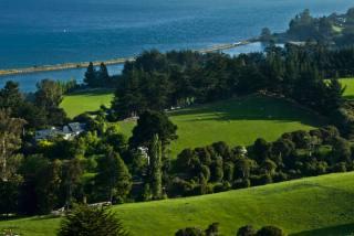 b/ Alphar Ranch East Wing - Dunedin 9023