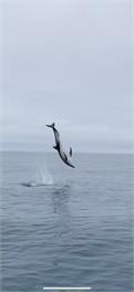 Kaikoura Fishing Retreat, Not Just For Fishing!!!! - Kaikoura