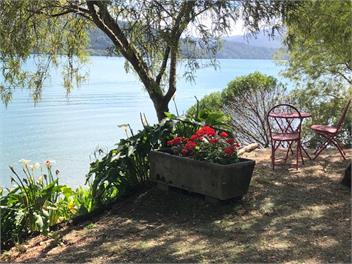 Karamu - Picton RD2