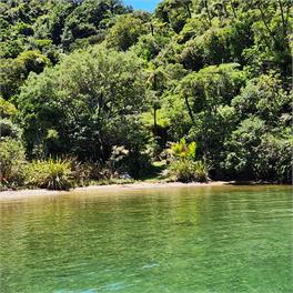 Tuangi - Picton