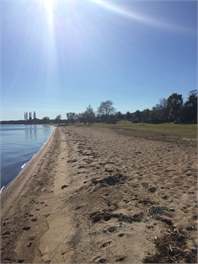 Beautiful Lakefront Location - Rotorua