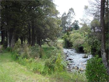 Spacious and Cosy Holiday Home - Ohakune
