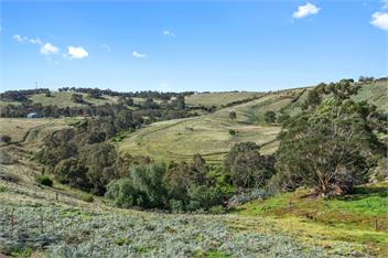 Large Home with Privacy and Views, Sleeps 12 - Melbourne