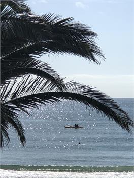 Summer in the Sun - Golden Bay