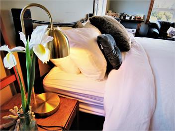 Blue Spur Farmstay - Hokitika
