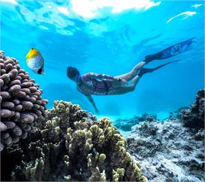 Muri Beach Studio with Pool - rarotonga