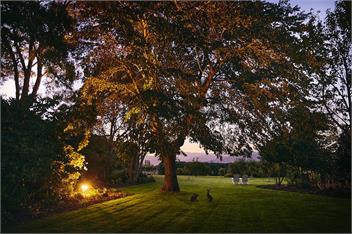 Luxury Vineyard Holiday House - Blenheim