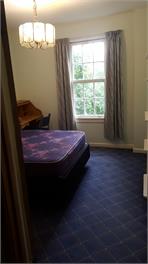 Hammersley homestead - CHRISTCHURCH