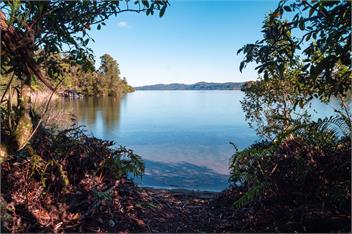 Lakeview Cottage - Rotorua