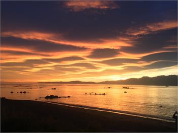 Barlow's Bach - Kaikoura