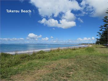 Hibiscus Hideaway - Northland