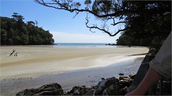 Rose Cottage - Stewart Island