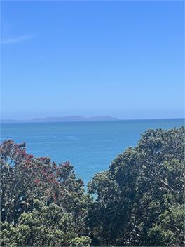 Pure New Zealand Pure Beachfront - Northland