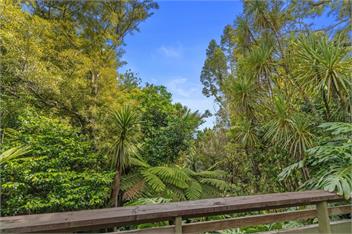 Treetop Sanctuary (Bachcare) - Auckland