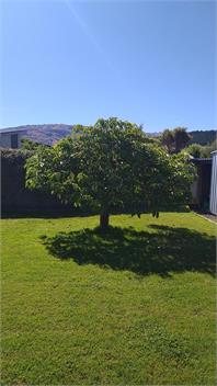 Place in the Sun - Central Otago
