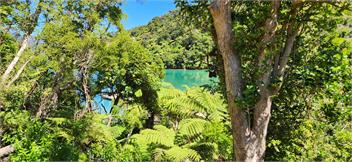 Tuangi - Picton