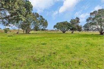 Ruakaka Coastal Reserve Retreat - Ruakaka