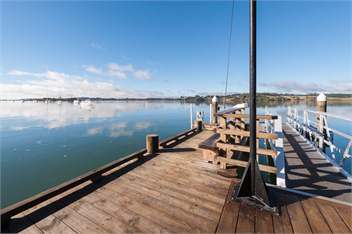 Black Marlin Bach - Kerikeri