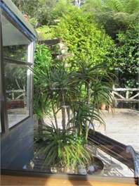 Maraetai Retreat - Manukau