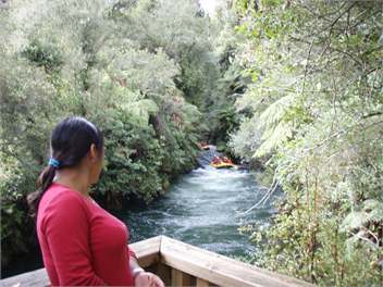 Rotoiti Lakeside Cottages, Lake Rotoiti - ROTORUA