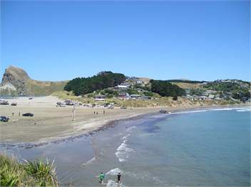 Beach House in Castle Point, Wellington/Wairarapa - 