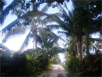 Lya's Bungalows: Titikaveka RAROTONGA - Rarotonga
