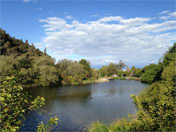 Kuratau Lake Leisure - Spa Pool, Lake, Kayak - Turangi