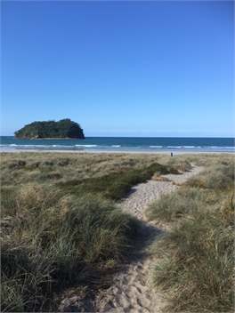Premium Location with it all ! Beach shops +More Te Ngaio Road - Mt Maunganui