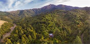 The Lookout: Breathtaking views, Private Rainforest ★Walks to Waterfalls★ - Peel Forest