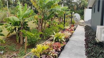 Boaza Place - Avarua