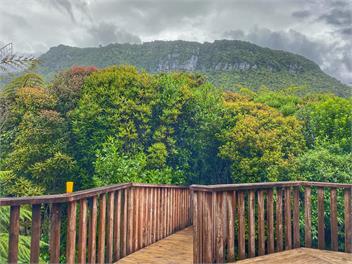 'Parinui' Punakaiki - Punakaiki