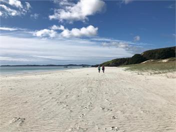 As Good As It Gets - Mangonui
