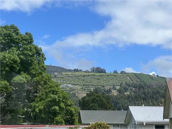 Spacious 3 BR Near skyline – 5 Min Walk - rotorua